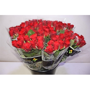 R Gr Red Ribbon X10