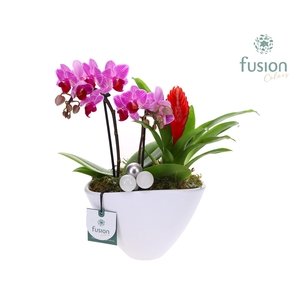 Pot keramiek Ovaal Kerst met Arrangement