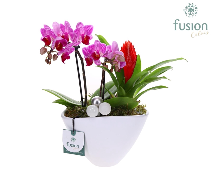 <h4>Pot keramiek Ovaal Kerst met Arrangement</h4>