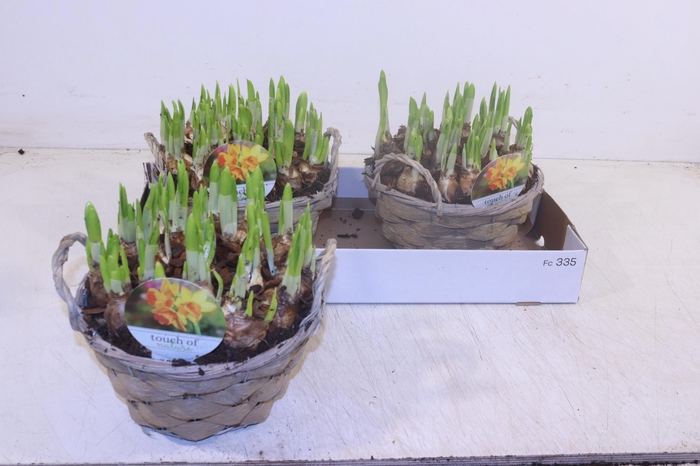 <h4>ARR N TETE A TETE</h4>