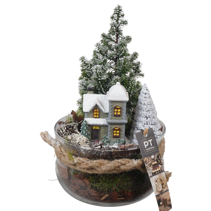 <h4>Arr. Kerst L%</h4>