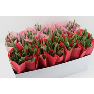 Boeket Tulp In Tas (valentijn)