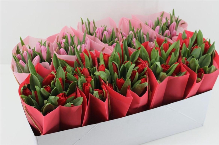 <h4>Boeket Tulp In Tas (valentijn)</h4>