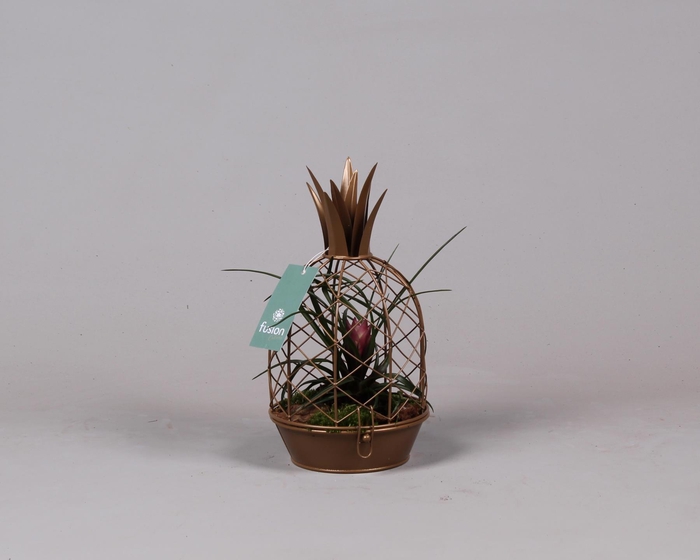 <h4>Metalen Ananas goud met Tillandsia</h4>