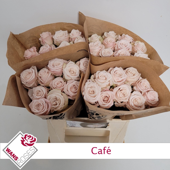 <h4>R GR CAFE!</h4>