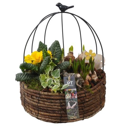 <h4>PTBM3860 Arrangement Flower Bulbs Mix in rieten mand met metaal</h4>
