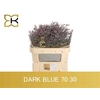 Lim Safora Dark Blue