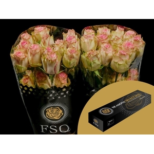 R GR Esperance Box