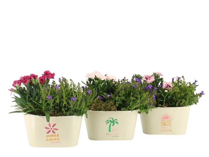 <h4>31605: Outdoor summer arrangement</h4>