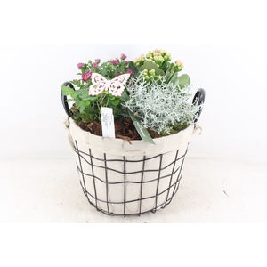 arr4 Outdoor MB - Jute/gaas mand L Los