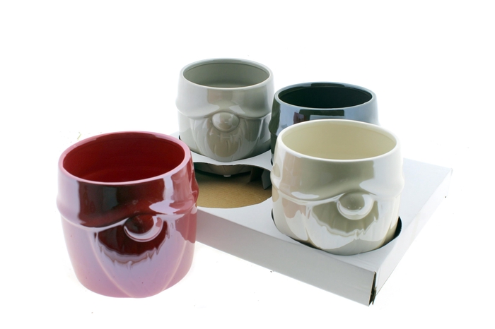 <h4>HUIS EN TUINDECO H%</h4>