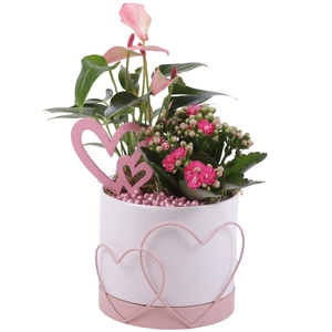 Mothersday Arr. Indoor Ceramic Heart Frame Pot Pink Ø13cm 2PP