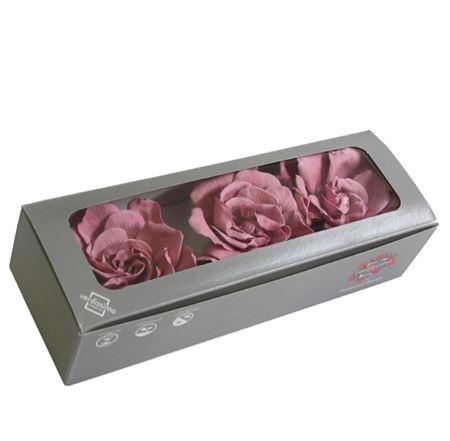 <h4>Gardenia Cherry Vintage Per 3</h4>