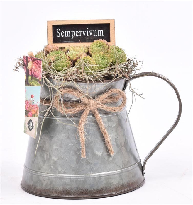 <h4>Zink kannetje met touw 12/18cm</h4>