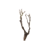 Syringa Branch Super Pirenne