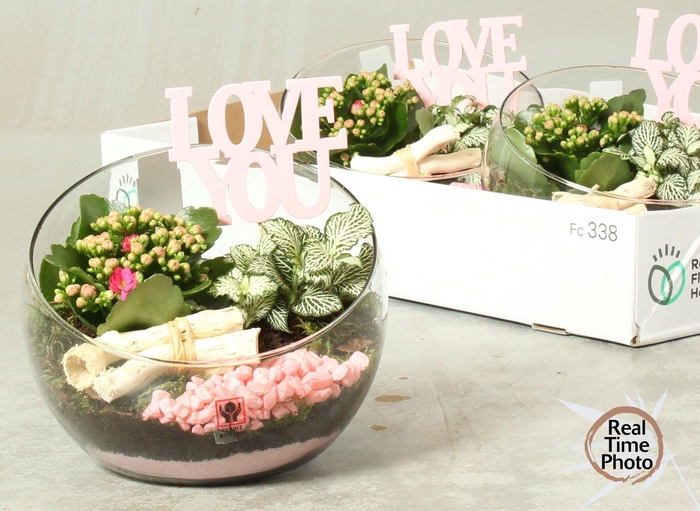 <h4>ARR KAMERPL</h4>