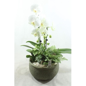 0199 KER GREEN PHAL