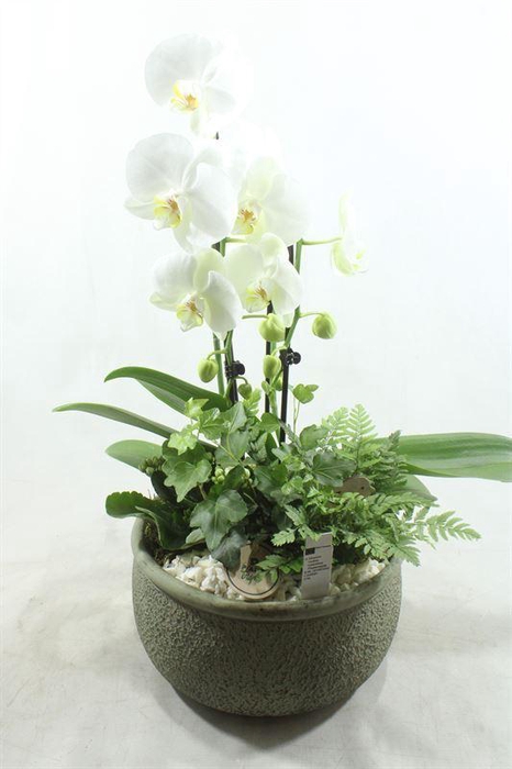 <h4>arr2 PT 9473 KER GREEN PHAL</h4>