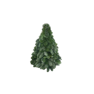 Kerstboom Nobilis 40cm