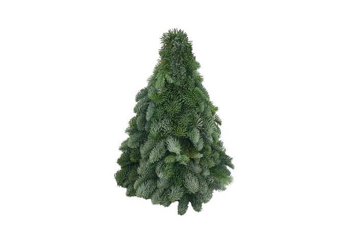 Kerstboom Nobilis 40cm