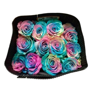 R GR EQ RAINBOW PASTEL MIX