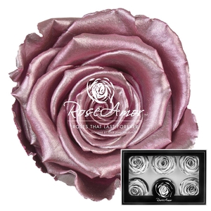 Lplus Metallic Old Pink