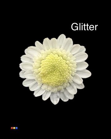 Chr T Stallion White + Glit Bio