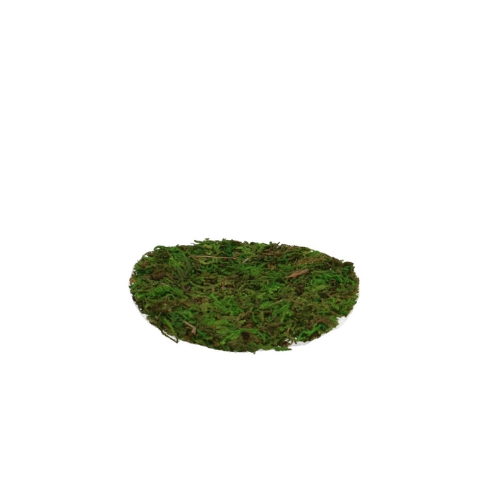 <h4>Dried articles Moss sheet rnd d10cm x5</h4>
