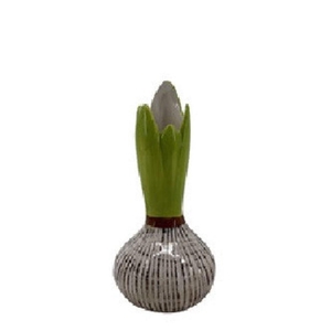 Ceramics Exclusive Hyacinth vase d12*25cm