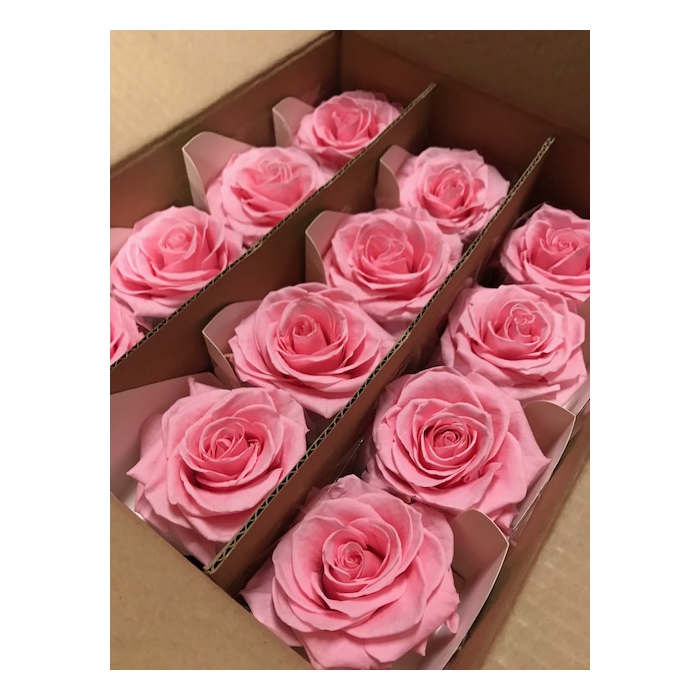 <h4>Rose on stem xl bulk 55cm pink</h4>