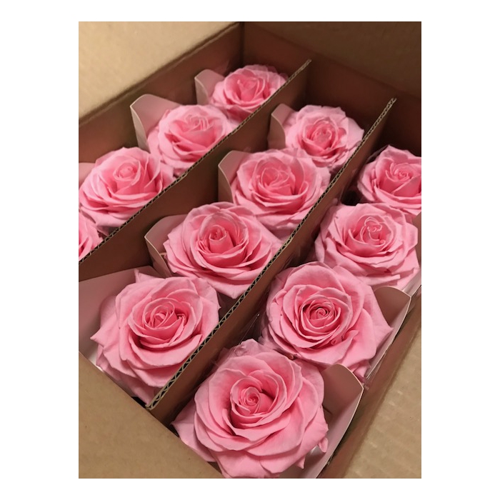 <h4>Rose on stem xl bulk 55cm pink</h4>