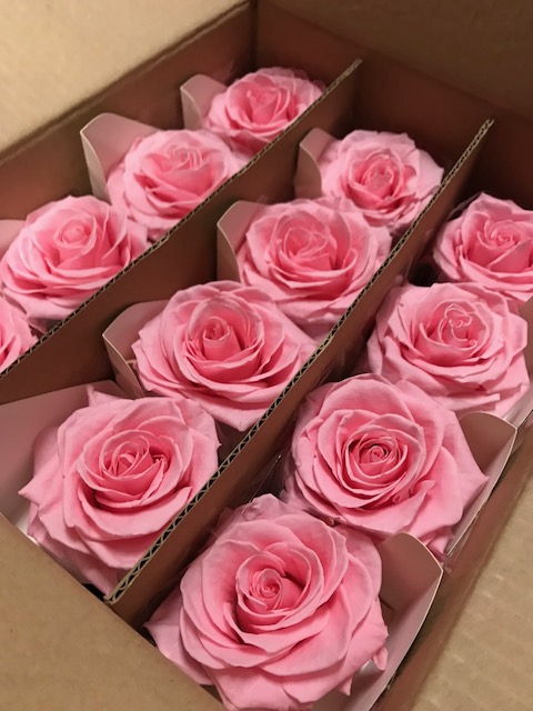 Rose on stem xl bulk 55cm pink