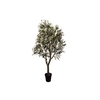 Silk Olive Tree Green 240cm