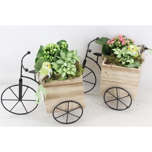 arr2 TD - Hout driewieler - roze/wit