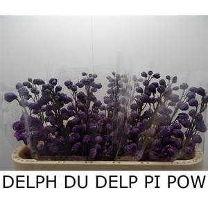 Delph Du Delp Pi Pow