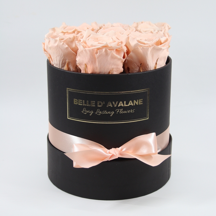 <h4>Box rd 15cm zwart-perzik</h4>