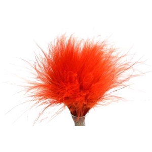 Bunch Stypha Pena Slv 50g L40