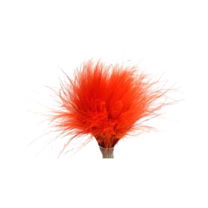 <h4>Bunch Stypha Pena Slv 50g L40</h4>