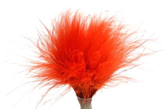 Bunch Stypha Pena Slv 50g L40