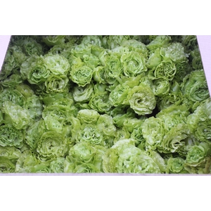 BUQUE LISIANTHUS ROSANE II GREEN