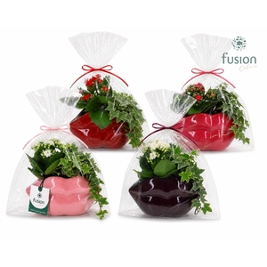 Keramiek Lippen planter met arrangement