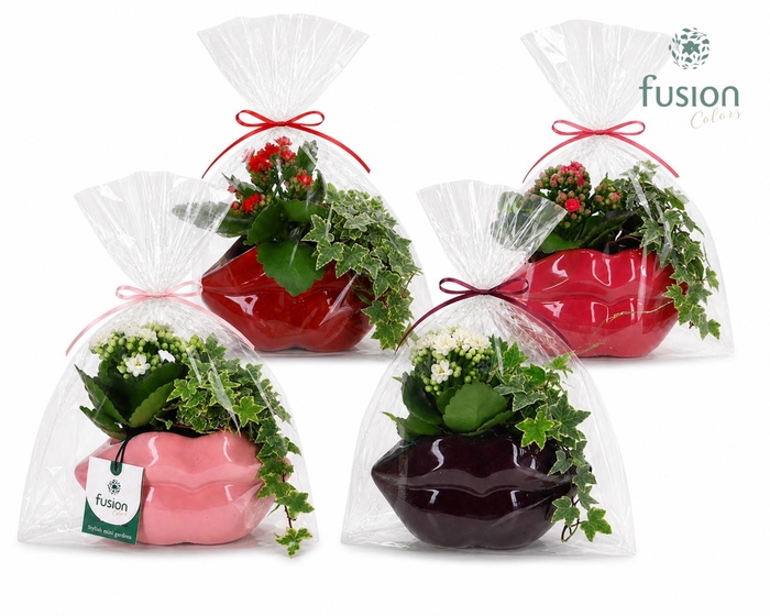 <h4>Keramiek Lippen planter met arrangement</h4>
