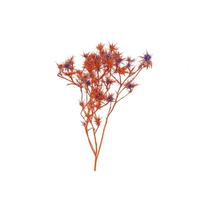 Dried Artz Cardi Mondriaan Bunch