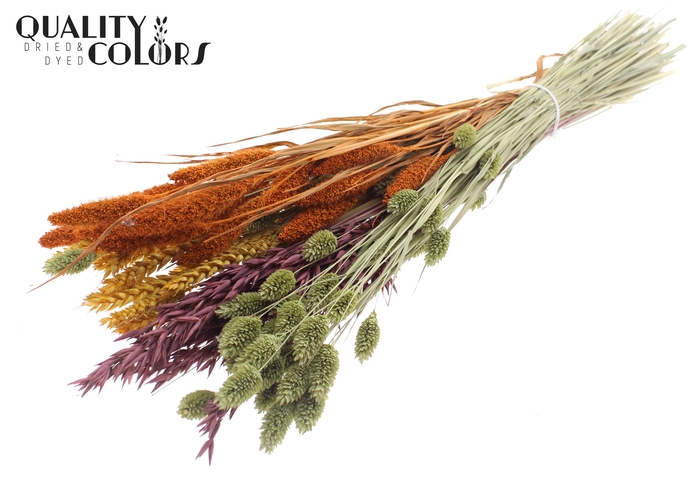 <h4>Dried Flower mix bunch Pumpkin Spice</h4>