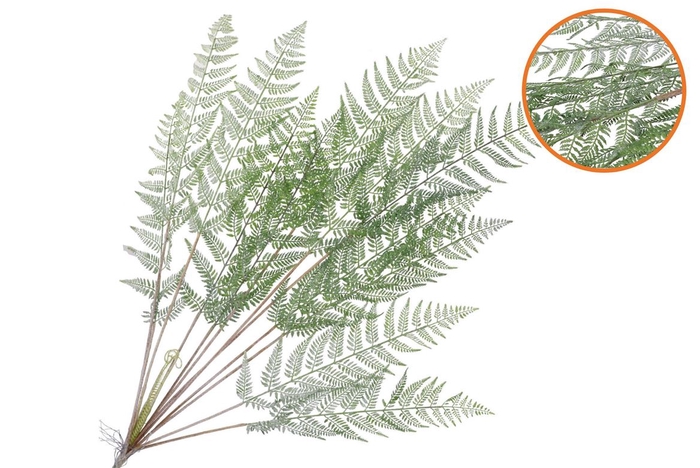 Silk Fern Cibotium Green Snowy 133cm