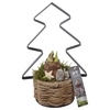 PTACH5907 Arrangementen Kerst