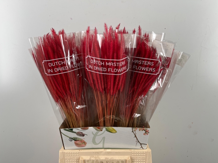 <h4>DROOGBL BEWERKT H%</h4>