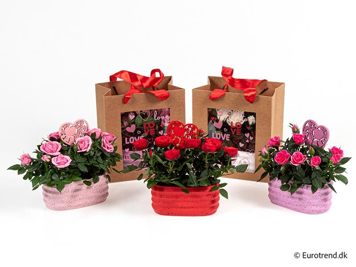 <h4>ROSA-HYBRID KUVERT</h4>