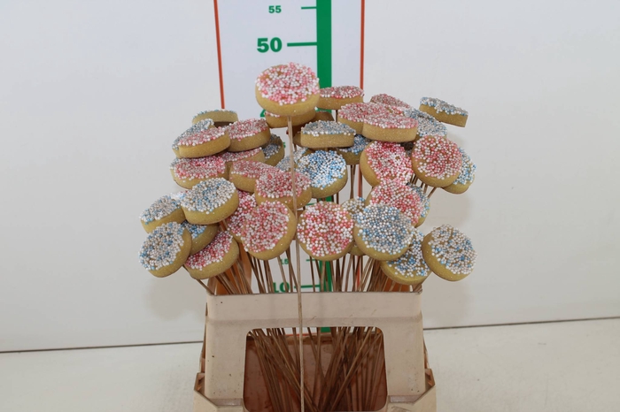 ~DIV. BESCHUIT MET MUISJES OP STOK