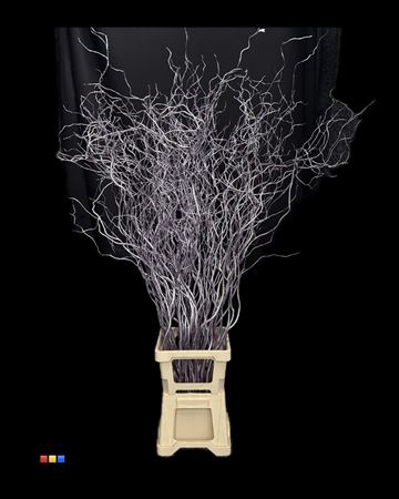 Salix 130cm Metallic Milka